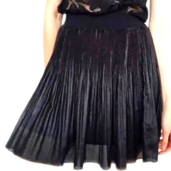 Nicole by Nicole Miller Dresses & Skirts - Nicole by Nicole Miller "Jungle Out" black pleated metallic NWT skirt 14